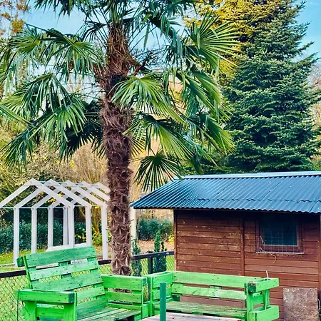 Willa Cozy House